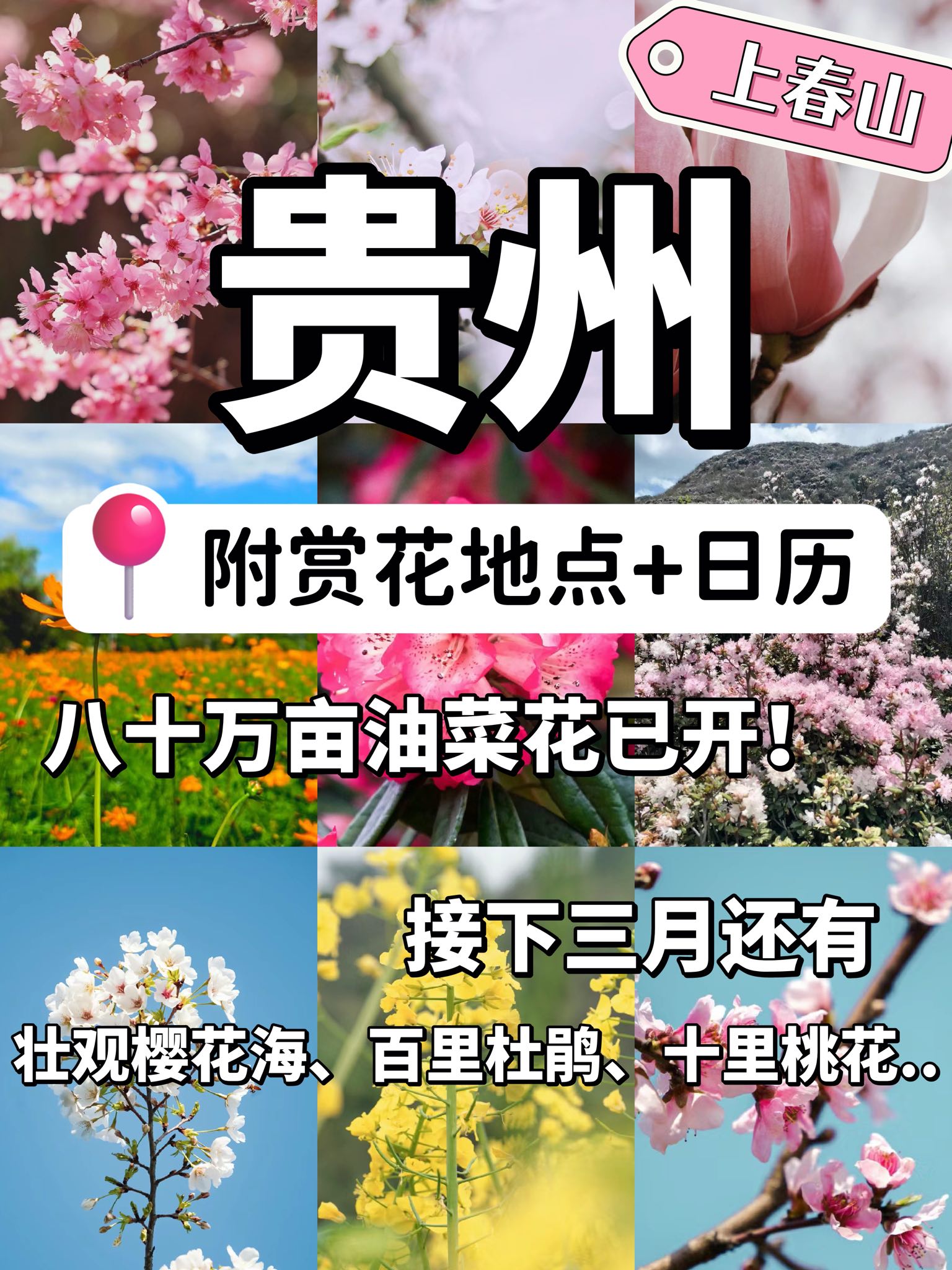 贵州丨这9个春日绝美赏花地请收好！附赏花日历丨贵州行李寄存